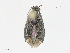  ( - CBG-A13293-E01)  @11 [ ] CreativeCommons - Attribution Share - Alike (2023) CBG Photography Group Centre for Biodiversity Genomics