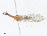  ( - CBG-A13294-C10)  @11 [ ] CreativeCommons - Attribution Share - Alike (2023) CBG Photography Group Centre for Biodiversity Genomics