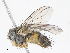  ( - CBG-A13295-B08)  @11 [ ] CreativeCommons - Attribution Share - Alike (2023) CBG Photography Group Centre for Biodiversity Genomics