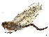  ( - CBG-A13338-G09)  @11 [ ] CreativeCommons - Attribution Share - Alike (2023) CBG Photography Group Centre for Biodiversity Genomics
