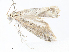  ( - CBG-A13340-A12)  @11 [ ] CreativeCommons - Attribution Share - Alike (2023) CBG Photography Group Centre for Biodiversity Genomics