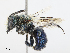  ( - CBG-A14989-E05)  @11 [ ] CreativeCommons - Attribution Share - Alike (2023) CBG Photography Group Centre for Biodiversity Genomics