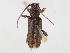  ( - CBG-A13270-F10)  @11 [ ] CreativeCommons - Attribution Share - Alike (2023) CBG Photography Group Centre for Biodiversity Genomics