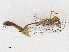  ( - CBG-A13270-G07)  @11 [ ] CreativeCommons - Attribution Share - Alike (2023) CBG Photography Group Centre for Biodiversity Genomics