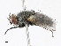  ( - CBG-A13271-A09)  @11 [ ] CreativeCommons - Attribution Share - Alike (2023) CBG Photography Group Centre for Biodiversity Genomics