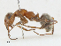  ( - CBG-A13272-D06)  @11 [ ] CreativeCommons - Attribution Share - Alike (2023) CBG Photography Group Centre for Biodiversity Genomics