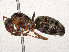  ( - CBG-A13296-E10)  @11 [ ] CreativeCommons - Attribution Share - Alike (2023) CBG Photography Group Centre for Biodiversity Genomics