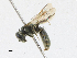  ( - CBG-A13319-B06)  @11 [ ] CreativeCommons - Attribution Share-Alike (2023) CBG Photography Group Centre for Biodiversity Genomics