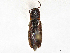  ( - CBG-A13342-A03)  @11 [ ] CreativeCommons - Attribution Share - Alike (2023) CBG Photography Group Centre for Biodiversity Genomics