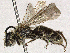  ( - CBG-A13342-A06)  @11 [ ] CreativeCommons - Attribution Share - Alike (2023) CBG Photography Group Centre for Biodiversity Genomics