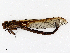  ( - CBG-A13343-H07)  @11 [ ] CreativeCommons - Attribution Share - Alike (2023) CBG Photography Group Centre for Biodiversity Genomics