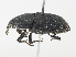  ( - CBG-A14989-E11)  @11 [ ] CreativeCommons - Attribution Share - Alike (2023) CBG Photography Group Centre for Biodiversity Genomics