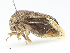 ( - CBG-A14989-G12)  @11 [ ] CreativeCommons - Attribution Share - Alike (2023) CBG Photography Group Centre for Biodiversity Genomics