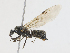  ( - CBG-A14990-D03)  @11 [ ] CreativeCommons - Attribution Share - Alike (2023) CBG Photography Group Centre for Biodiversity Genomics