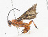  ( - CBG-A14991-C07)  @11 [ ] CreativeCommons - Attribution Share-Alike (2023) CBG Photography Group Centre for Biodiversity Genomics
