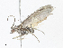  ( - CBG-A14992-A10)  @11 [ ] CreativeCommons - Attribution Share - Alike (2023) CBG Photography Group Centre for Biodiversity Genomics