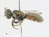  ( - CBG-A15019-A06)  @11 [ ] CreativeCommons - Attribution Share - Alike (2023) CBG Photography Group Centre for Biodiversity Genomics