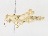 ( - CBG-A16664-E07)  @11 [ ] CreativeCommons - Attribution Share-Alike (2023) CBG Photography Group Centre for Biodiversity Genomics