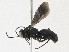  ( - CBG-A23274-E12)  @11 [ ] CreativeCommons - Attribution Share - Alike (2023) CBG Photography Group Centre for Biodiversity Genomics