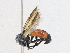  ( - CBG-A23276-G02)  @11 [ ] CreativeCommons - Attribution Share-Alike (2023) CBG Photography Group Centre for Biodiversity Genomics