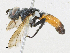  ( - CBG-A23276-G05)  @11 [ ] CreativeCommons - Attribution Share-Alike (2023) CBG Photography Group Centre for Biodiversity Genomics