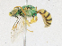  ( - CBG-A23278-F05)  @11 [ ] CreativeCommons - Attribution Share - Alike (2023) CBG Photography Group Centre for Biodiversity Genomics