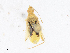  ( - CBG-A23278-H05)  @11 [ ] CreativeCommons - Attribution Share - Alike (2023) CBG Photography Group Centre for Biodiversity Genomics