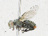  ( - CBG-A23280-E09)  @11 [ ] CreativeCommons - Attribution Share-Alike (2023) CBG Photography Group Centre for Biodiversity Genomics
