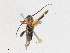  ( - CBG-A23282-F03)  @11 [ ] CreativeCommons - Attribution Share - Alike (2023) CBG Photography Group Centre for Biodiversity Genomics