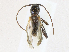  ( - CBG-A23282-G03)  @11 [ ] CreativeCommons - Attribution Share - Alike (2023) CBG Photography Group Centre for Biodiversity Genomics