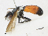 ( - CBG-A23283-C10)  @11 [ ] CreativeCommons - Attribution Share - Alike (2023) CBG Photography Group Centre for Biodiversity Genomics