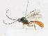  ( - CBG-A23283-E06)  @11 [ ] CreativeCommons - Attribution Share - Alike (2023) CBG Photography Group Centre for Biodiversity Genomics