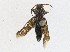  ( - CBG-A23284-C02)  @11 [ ] CreativeCommons - Attribution Share - Alike (2023) CBG Photography Group Centre for Biodiversity Genomics