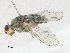  ( - CBG-A23285-F04)  @11 [ ] CreativeCommons - Attribution Share - Alike (2023) CBG Photography Group Centre for Biodiversity Genomics
