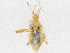  ( - CBG-A23288-C06)  @11 [ ] CreativeCommons - Attribution Share - Alike (2023) CBG Photography Group Centre for Biodiversity Genomics