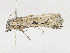  ( - CBG-A23288-F05)  @11 [ ] CreativeCommons - Attribution Share - Alike (2023) CBG Photography Group Centre for Biodiversity Genomics