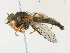  ( - CBG-A23410-E11)  @11 [ ] CreativeCommons - Attribution Share-Alike (2023) CBG Photography Group Centre for Biodiversity Genomics