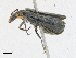  ( - CBG-A23410-G02)  @11 [ ] CreativeCommons - Attribution Share-Alike (2023) CBG Photography Group Centre for Biodiversity Genomics
