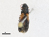  ( - CBG-A23411-A01)  @11 [ ] CreativeCommons - Attribution Share-Alike (2023) CBG Photography Group Centre for Biodiversity Genomics