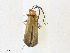  ( - CBG-A23412-C10)  @11 [ ] CreativeCommons - Attribution Share - Alike (2023) CBG Photography Group Centre for Biodiversity Genomics
