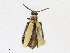  ( - CBG-A23413-B10)  @11 [ ] CreativeCommons - Attribution Share - Alike (2023) CBG Photography Group Centre for Biodiversity Genomics