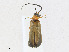  ( - CBG-A23427-F06)  @11 [ ] CreativeCommons - Attribution Share - Alike (2023) CBG Photography Group Centre for Biodiversity Genomics