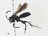 ( - CBG-A23428-A10)  @11 [ ] CreativeCommons - Attribution Share - Alike (2023) CBG Photography Group Centre for Biodiversity Genomics