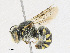  ( - CBG-A23428-G02)  @11 [ ] CreativeCommons - Attribution Share - Alike (2023) CBG Photography Group Centre for Biodiversity Genomics