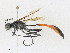  ( - CBG-A23429-A07)  @11 [ ] CreativeCommons - Attribution Share - Alike (2023) CBG Photography Group Centre for Biodiversity Genomics