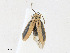  ( - CBG-A23429-F08)  @11 [ ] CreativeCommons - Attribution Share - Alike (2023) CBG Photography Group Centre for Biodiversity Genomics