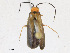  ( - CBG-A24205-B10)  @11 [ ] CreativeCommons - Attribution Share - Alike (2023) CBG Photography Group Centre for Biodiversity Genomics