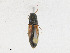  ( - CBG-A24205-F02)  @11 [ ] CreativeCommons - Attribution Share - Alike (2023) CBG Photography Group Centre for Biodiversity Genomics