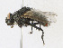  ( - CBG-A24206-B11)  @11 [ ] CreativeCommons - Attribution Share - Alike (2023) CBG Photography Group Centre for Biodiversity Genomics