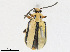  ( - CBG-A24206-C04)  @11 [ ] CreativeCommons - Attribution Share - Alike (2023) CBG Photography Group Centre for Biodiversity Genomics